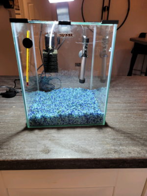 tetra floating starter kit